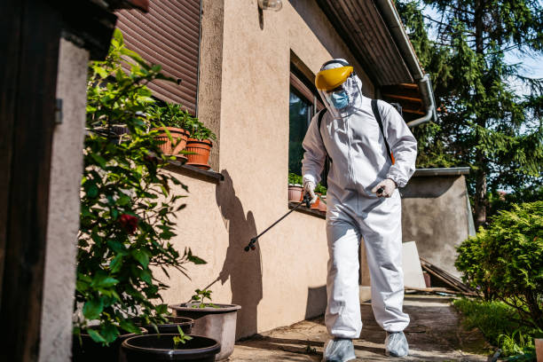 Bird Control in Irondale, GA