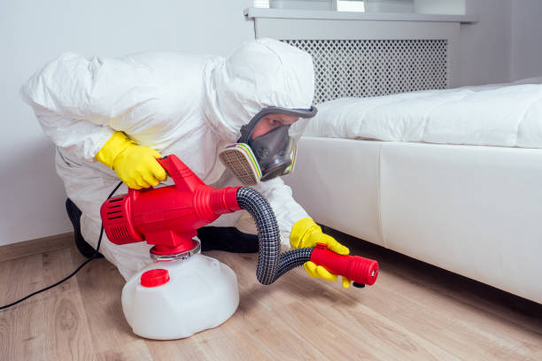 Best Commercial Pest Control Services  in Irondale, GA