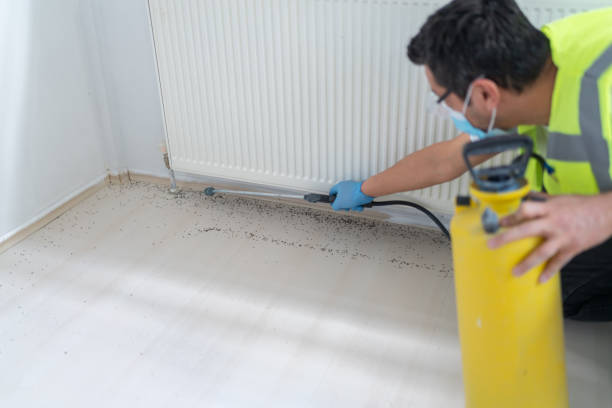 Best Bed Bug Extermination  in Irondale, GA